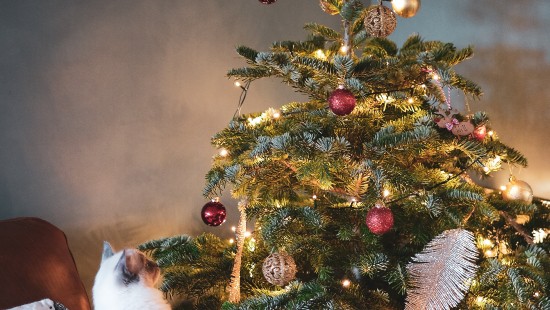 christmas tree images hd 1080p