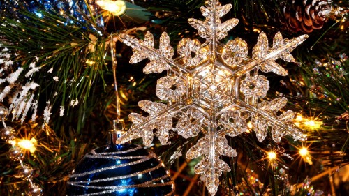 Image tree, christmas, light, lighting, christmas decoration