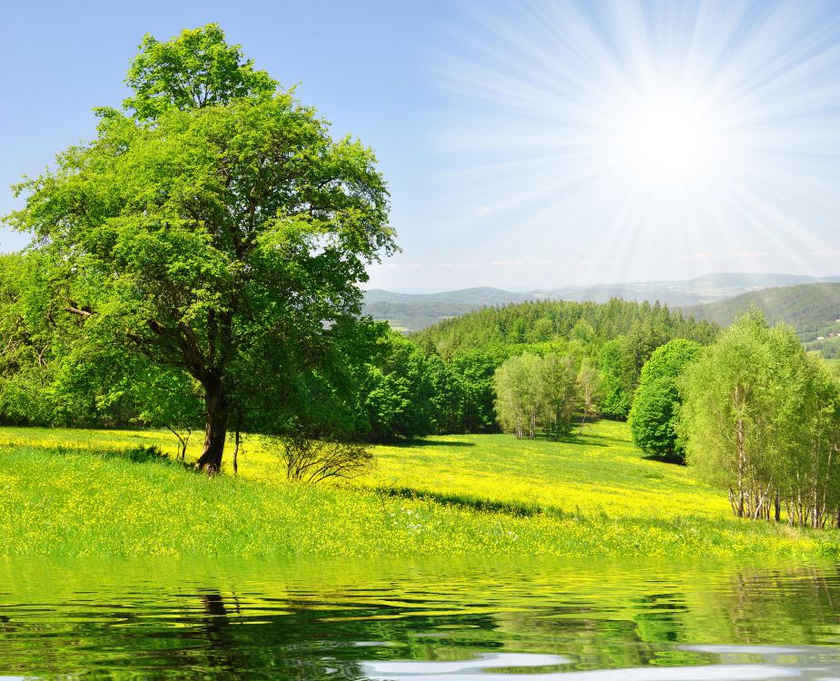 green grass field and trees beside river under blue sky during daytime