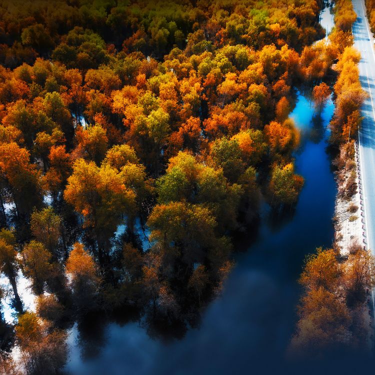 Huawei, Huawei Mate, Huawei Mate 40 Pro, Huawei P40, Huawei Mate 30. Wallpaper in 2772x2772 Resolution