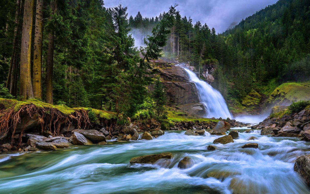 waterfalls in forest during daytime