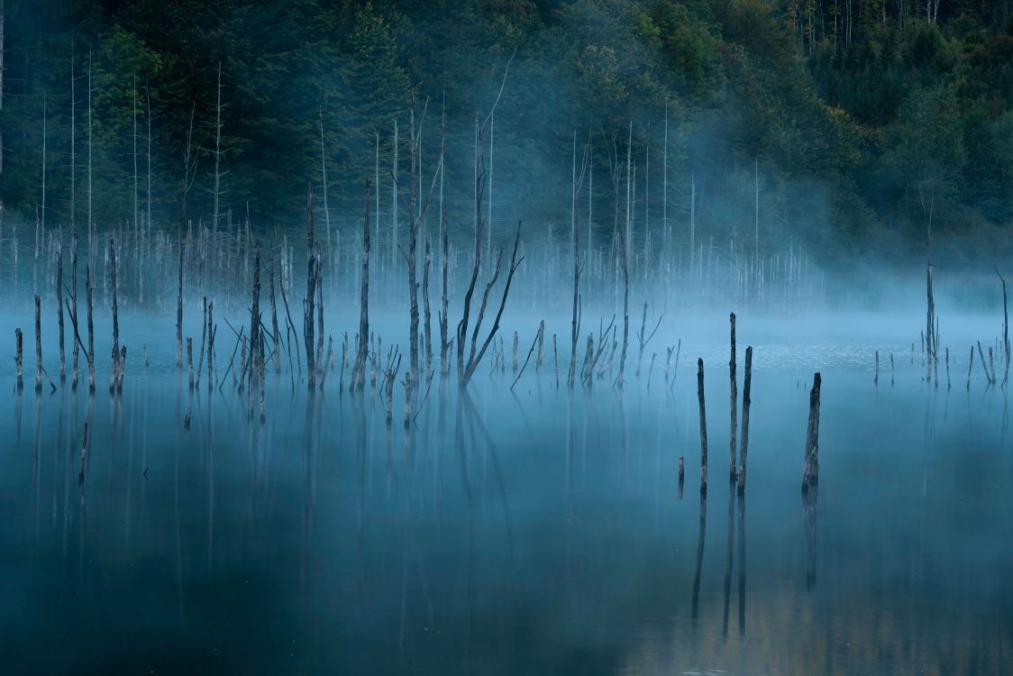 性质, 反射, 自然景观, 气氛, 雾 壁纸 7952x5304 允许