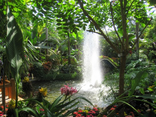 Image water fountain in the middle of the forest