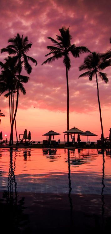 Agua, Ambiente, Afterglow, Naturaleza, Atardecer. Wallpaper in 1420x3000 Resolution