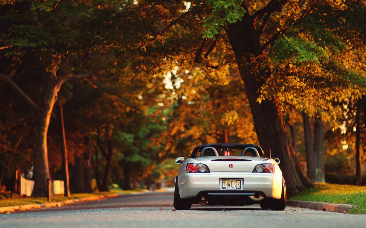 Porsche 911 Blanche Sur Route Pendant la Journée. Wallpaper in 2560x1600 Resolution