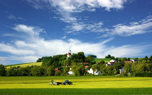 Image people riding on golf cart on green grass field under blue sky during daytime