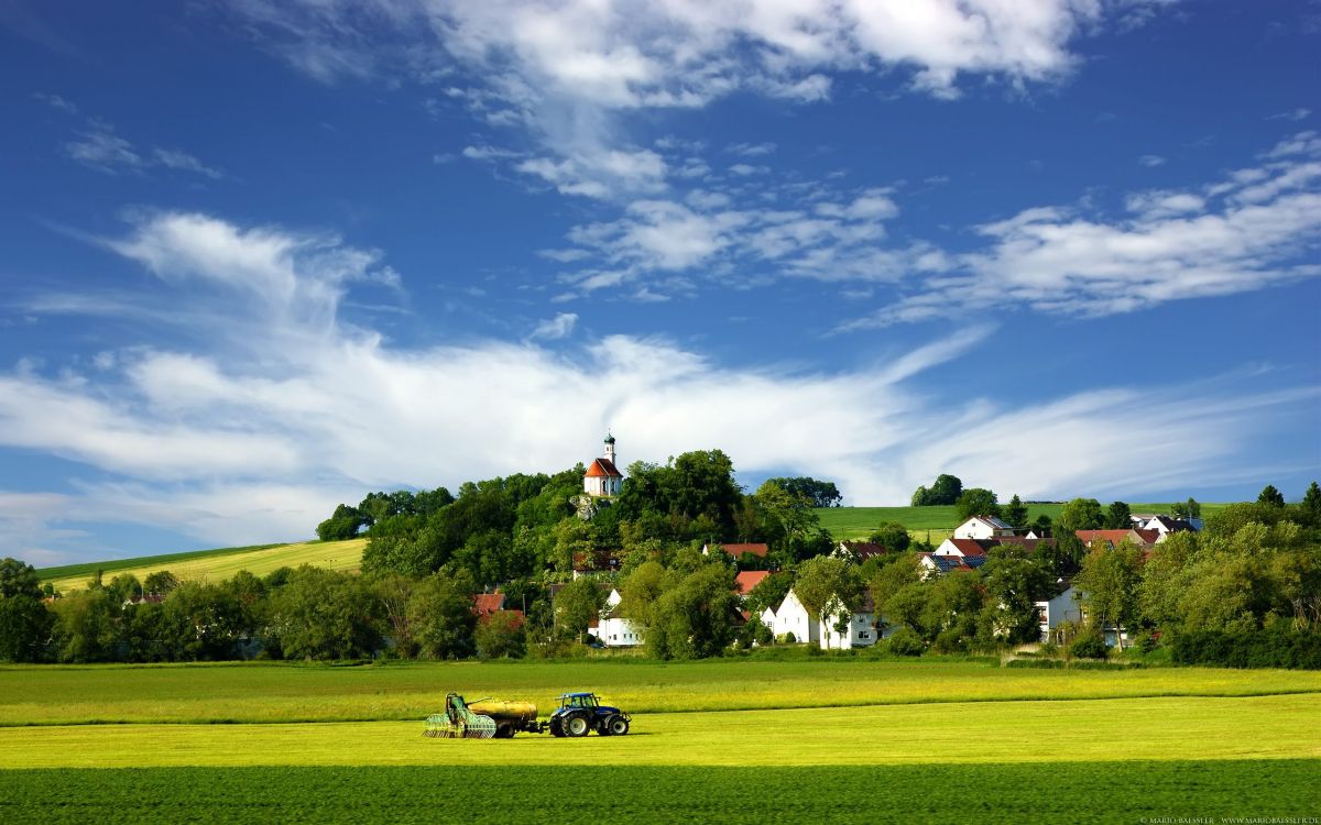 people riding on golf cart on green grass field under blue sky during daytime