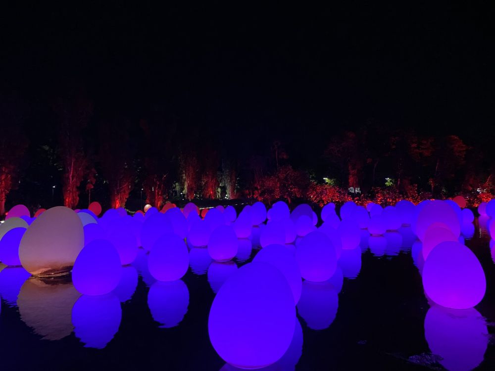 光, 物理学, 科学, 紫色的, 紫罗兰色 壁纸 2048x1536 允许