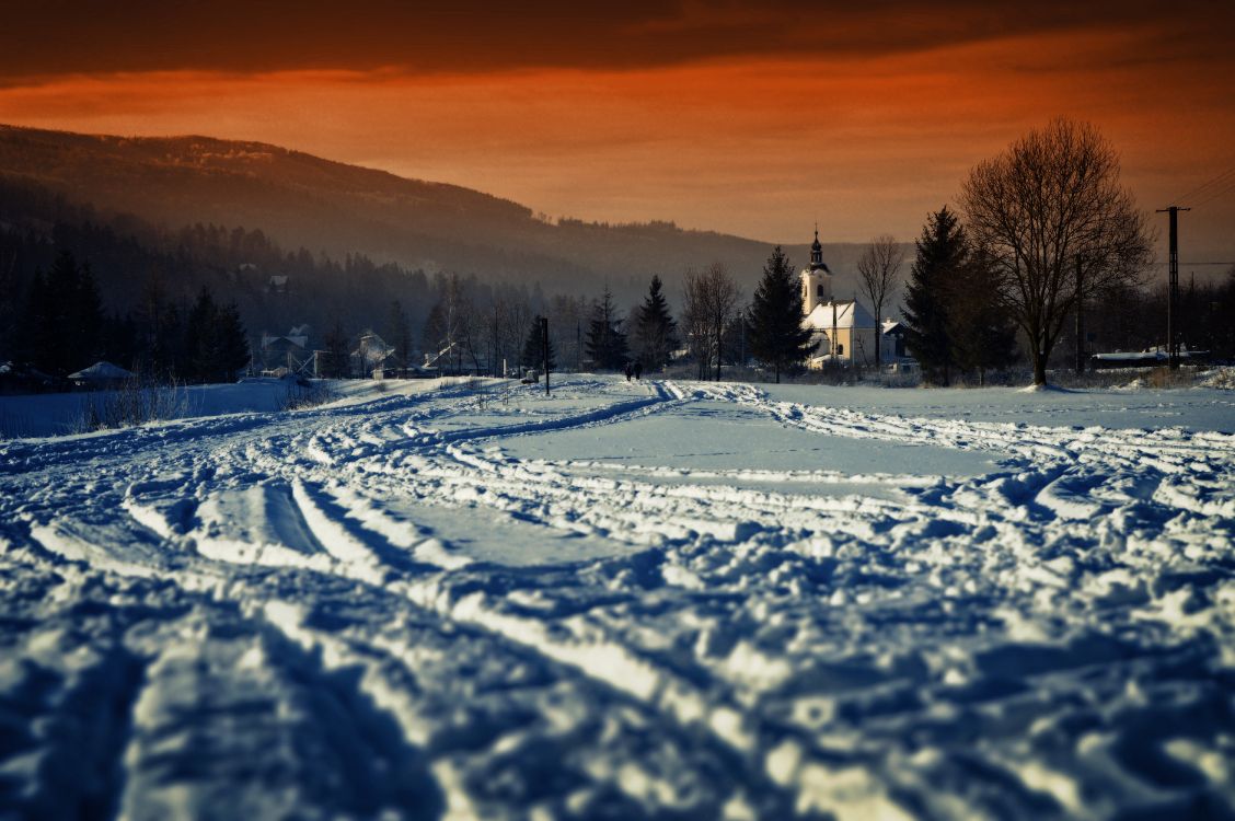 Schneebedecktes Feld Mit Bäumen Bei Sonnenuntergang. Wallpaper in 6016x4000 Resolution