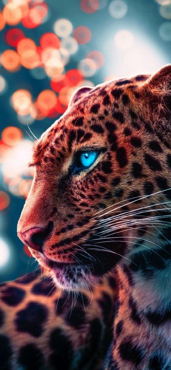 Schneeleopard, Tiger, Lion, Nebelparder, Amur Leopard. Wallpaper in 1080x2340 Resolution