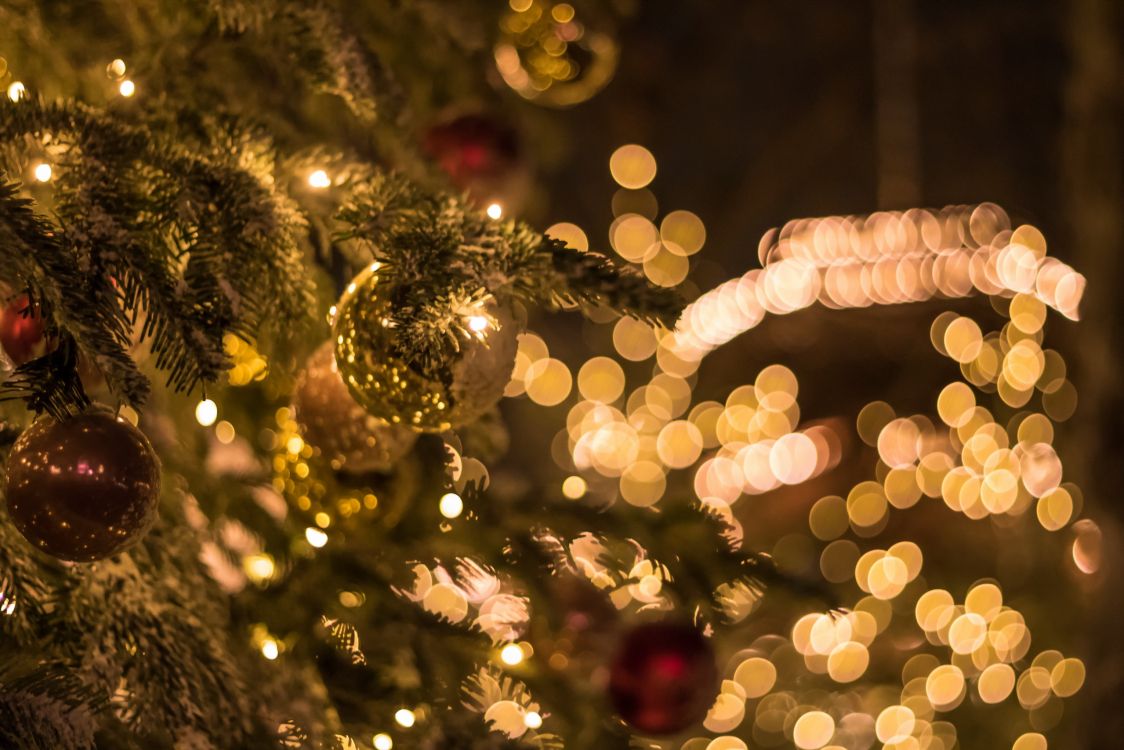 Weihnachten, Weihnachtsbeleuchtung, Christmas Ornament, Baum, Weihnachtsdekoration. Wallpaper in 2560x1707 Resolution