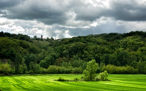 Image green grass field under cloudy sky during daytime