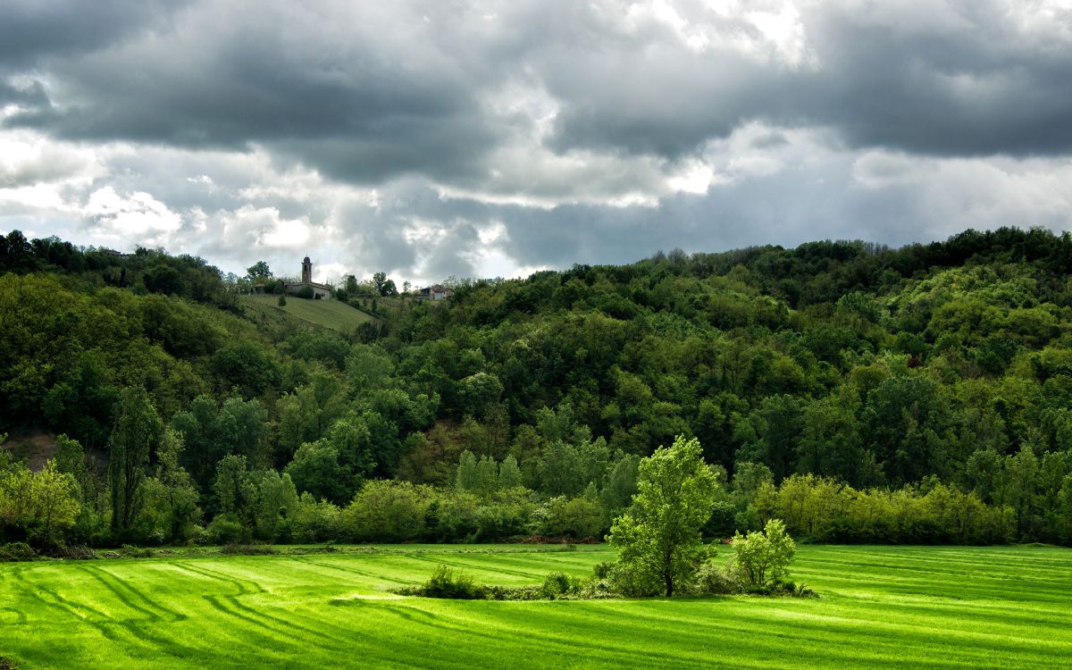 green grass field under cloudy sky during daytime