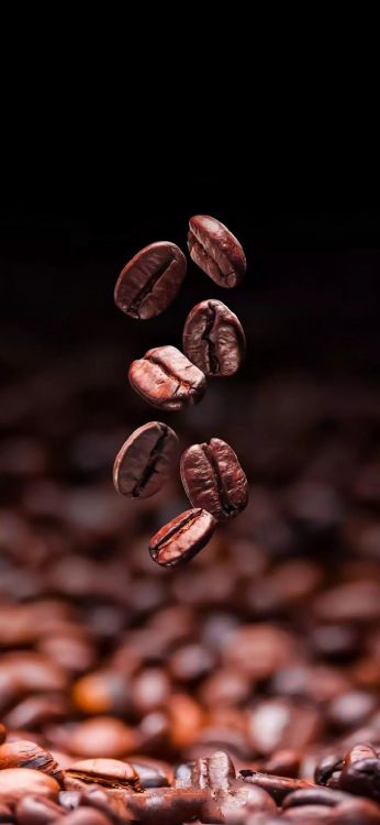 Fève de Cacao, Rôti, Café Torréfié Foncé, Espresso, Grain de Café. Wallpaper in 1080x2340 Resolution