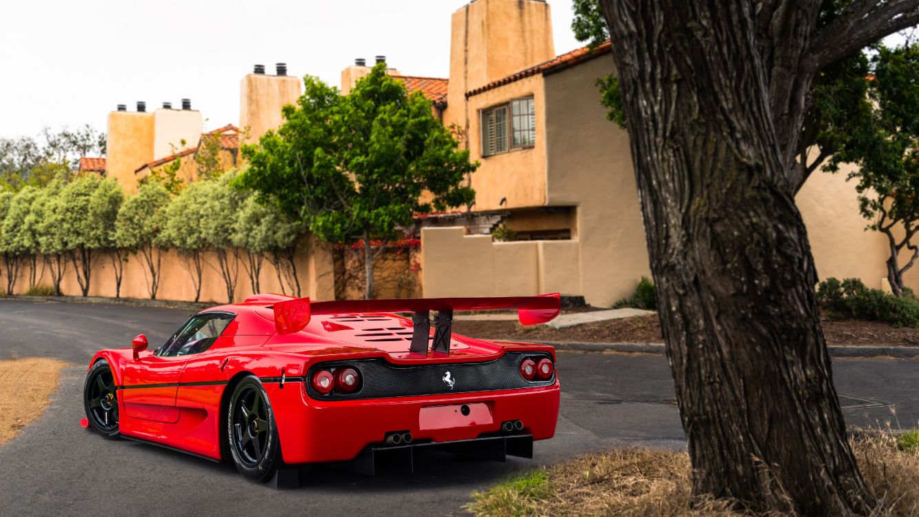 Ferrari F50, Car, Enzo Ferrari, Ferrari, Ferrari F40. Wallpaper in 5120x2880 Resolution