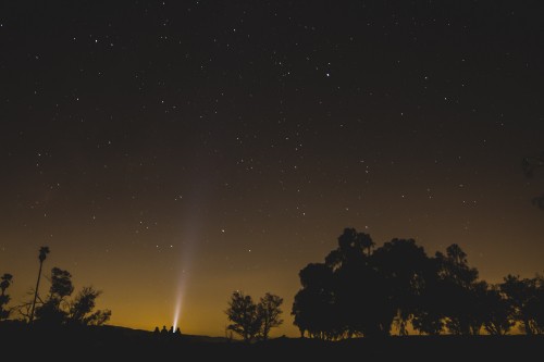 Image silhouette of trees under starry night