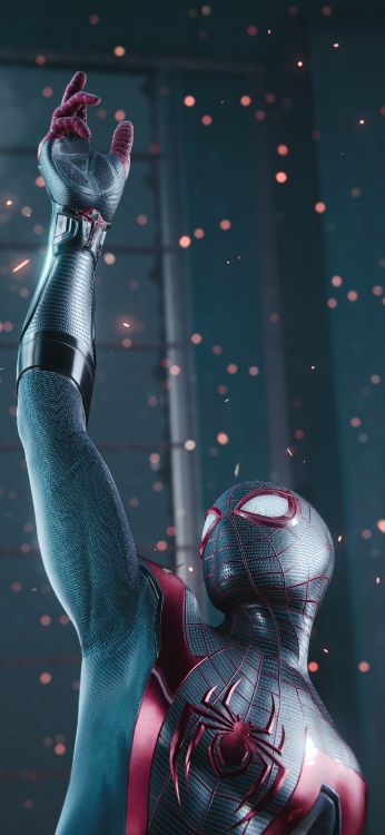 Muscle, Squelette Humain, Biologie Humaine, Sciences, Biologie. Wallpaper in 1772x3840 Resolution