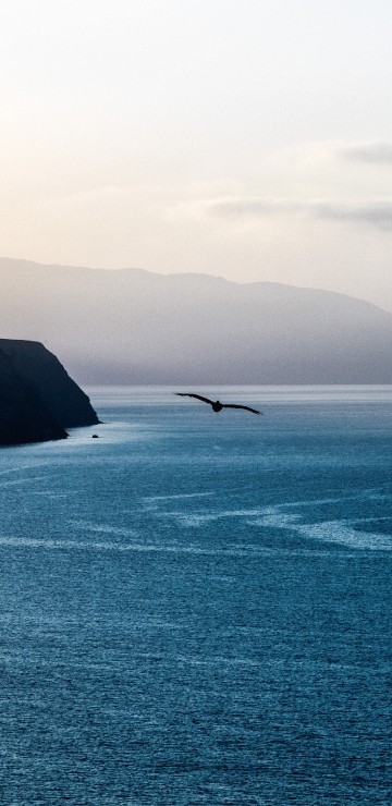 Image body of water, sea, ocean, horizon, blue