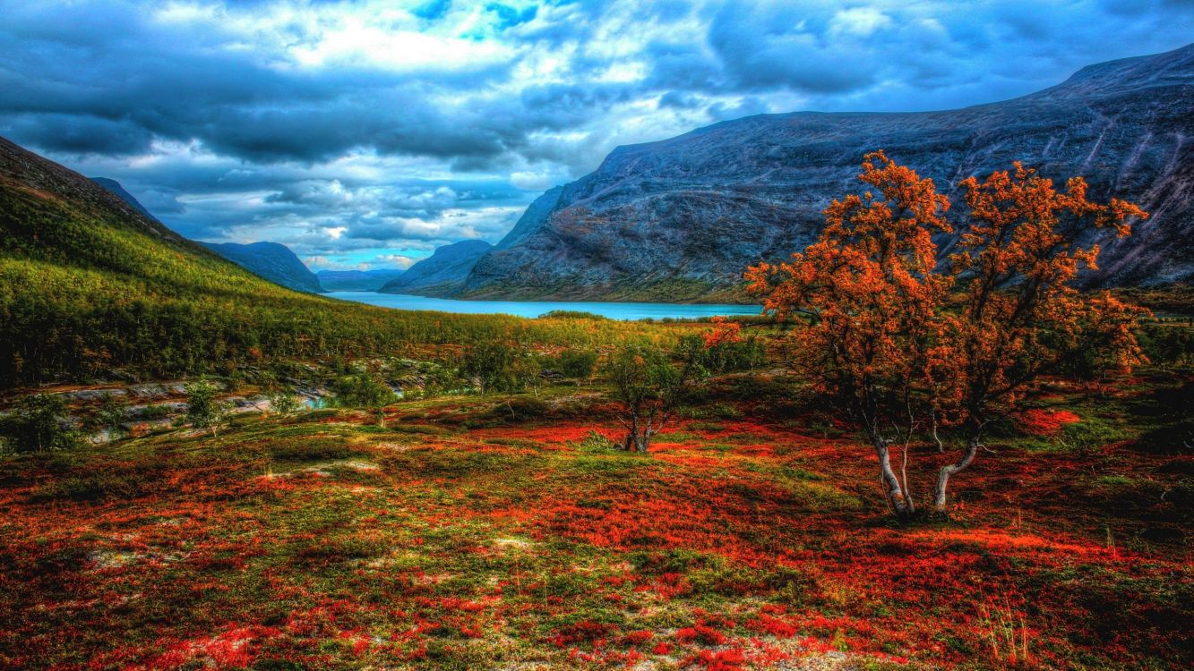 green grass field near lake under cloudy sky during daytime