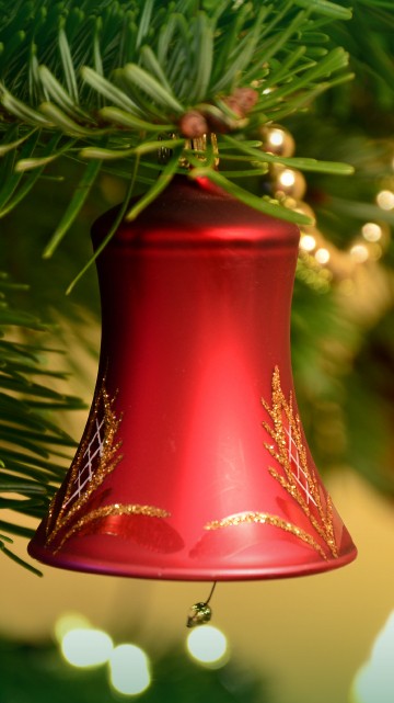 Image Christmas Day, christmas tree, christmas decoration, holiday, christmas ornament