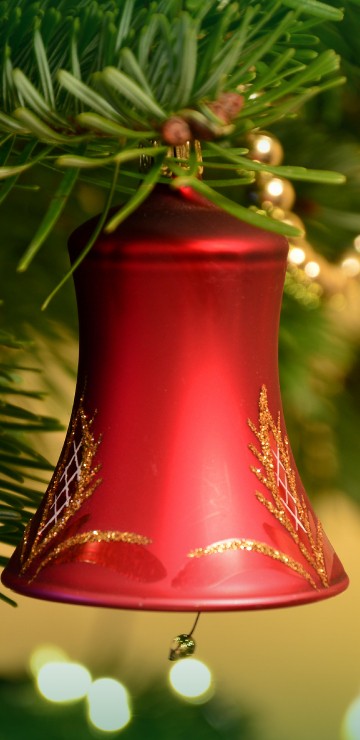 Image Christmas Day, christmas tree, christmas decoration, holiday, christmas ornament