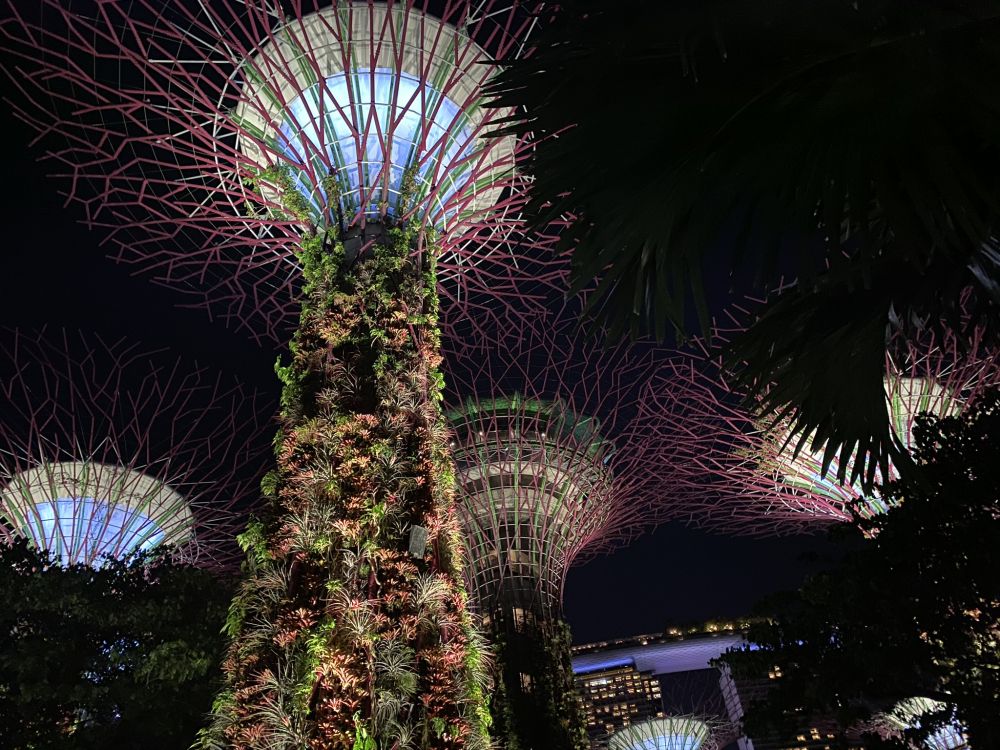 Singapur, Nacht, Palme, Feuerwerk, Sehenswürdigkeit. Wallpaper in 2048x1536 Resolution