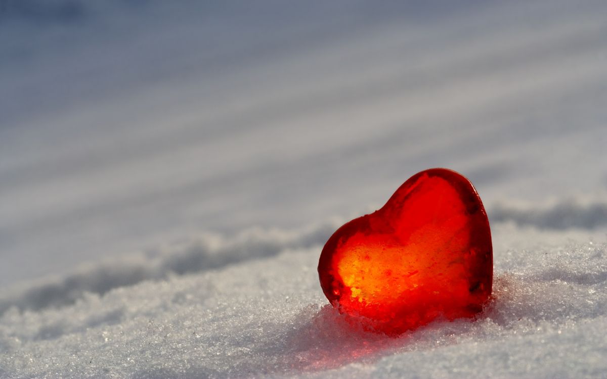 Nieve, Coraz, Invierno, Amor, Infarto de Miocardio. Wallpaper in 2560x1600 Resolution