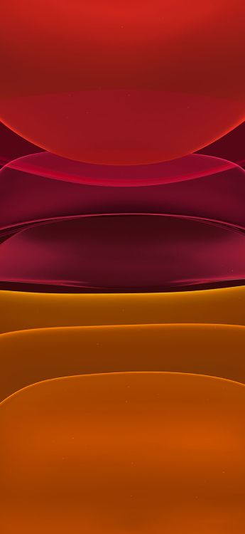 Apple, IPhone, IPhone 11, 苹果, 色彩 壁纸 1436x3113 允许