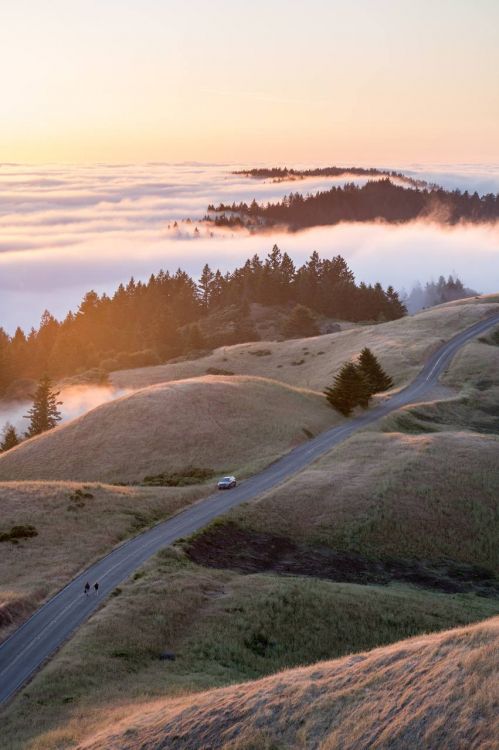 Les Ressources en Eau, L'écorégion, Paysage Naturel, Pente, Corps de L'eau. Wallpaper in 853x1280 Resolution