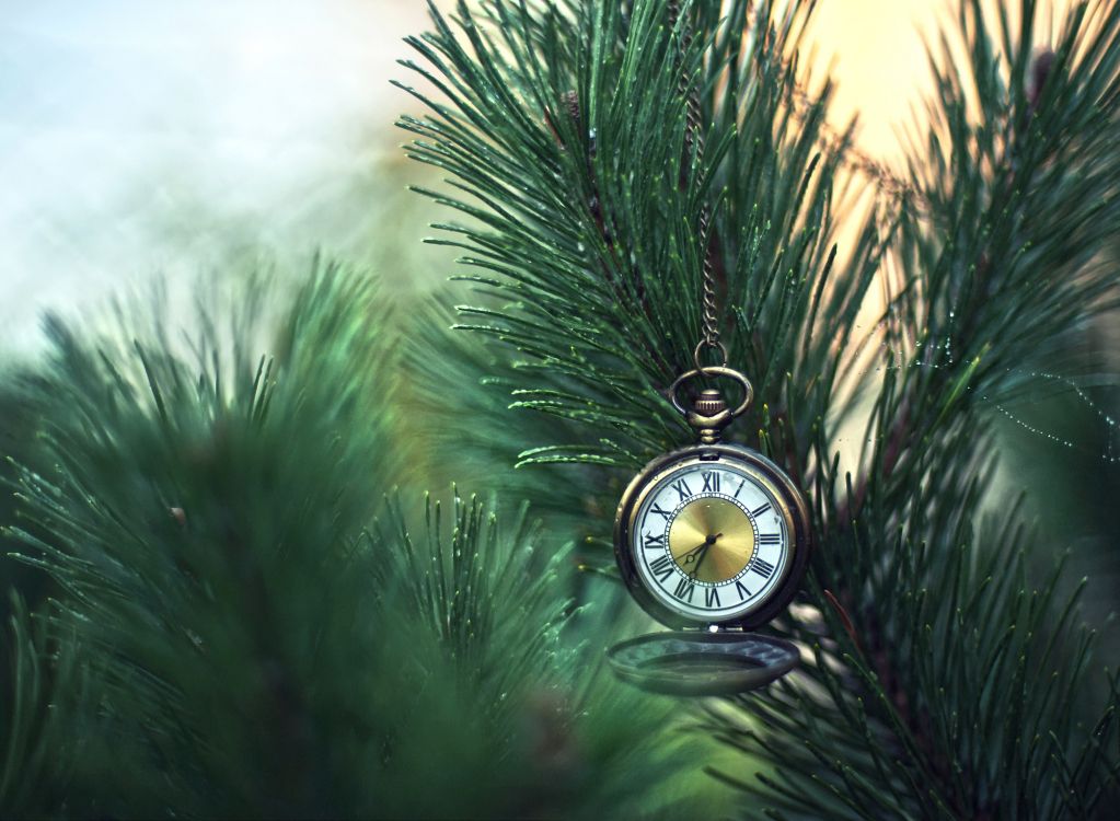 Goldene Und Schwarze Taschenuhr Auf Grüner Kiefer. Wallpaper in 2000x1466 Resolution