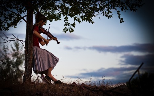 Image violin, tree, dress, cloud, grass