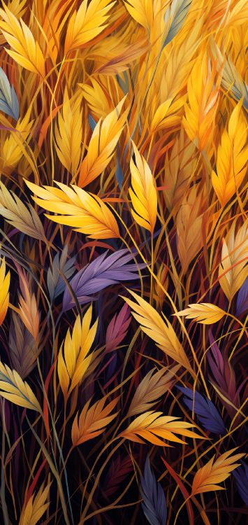 Orange, Ambre, Pétale, Plante Terrestre, la Floraison de la Plante. Wallpaper in 1168x2464 Resolution