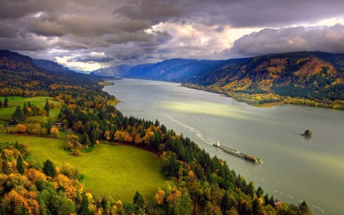 Image green trees near body of water under cloudy sky during daytime