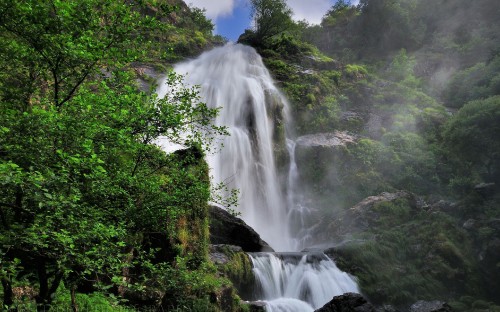 Image waterfalls in the middle of green trees