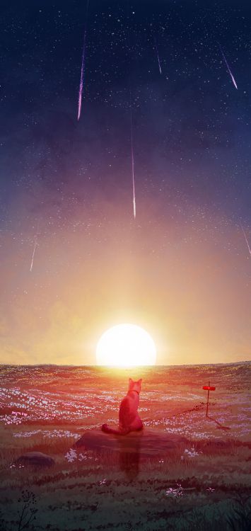 Objeto Astronómico, Ambiente, Sol, Espacio, Estrella. Wallpaper in 1212x2560 Resolution