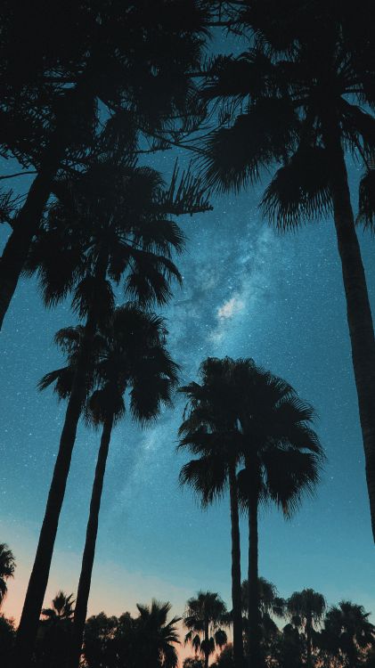 气氛, Azure, 自然景观 壁纸 3240x5760 允许