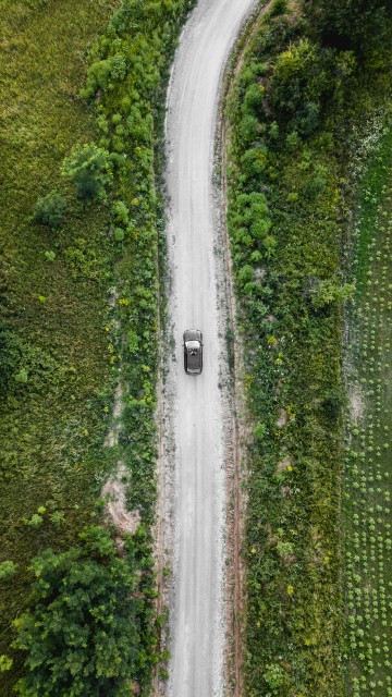 Image aerial view of green trees and river