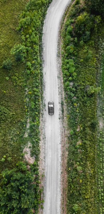 Image aerial view of green trees and river