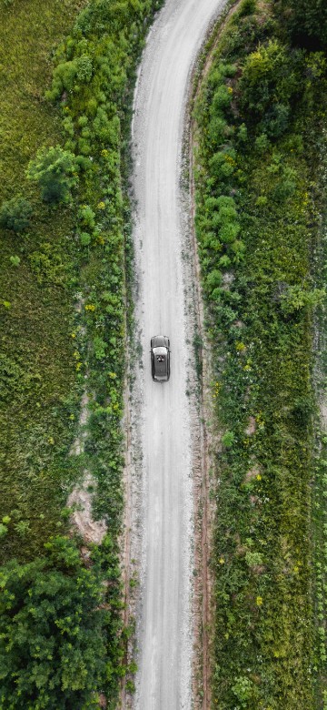 Image aerial view of green trees and river