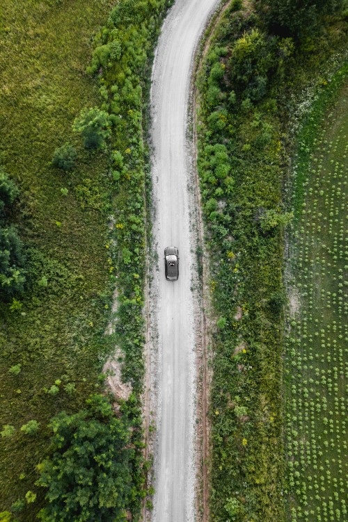 Image aerial view of green trees and river