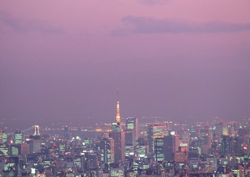 Image city skyline during night time