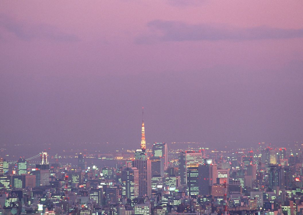 city skyline during night time