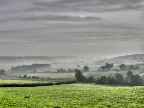 Image green grass field under cloudy sky during daytime