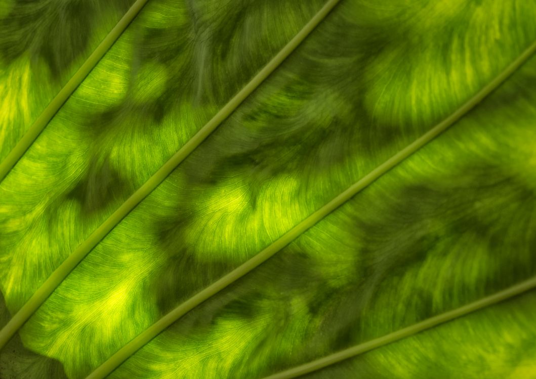 Green and White Stripe Textile. Wallpaper in 4768x3376 Resolution