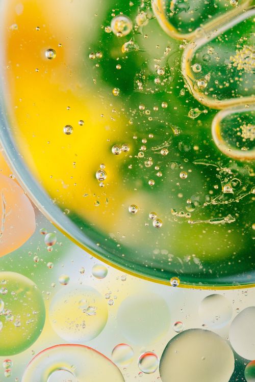 green, lime, food, citrus, drink