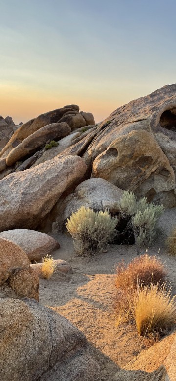 Image apples, apple support, plant, bedrock, natural landscape