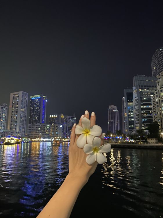 反射, 塔块, 大都会, 城市景观, 公寓 壁纸 1536x2048 允许