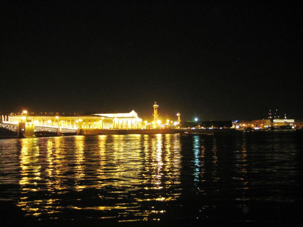 city skyline during night time