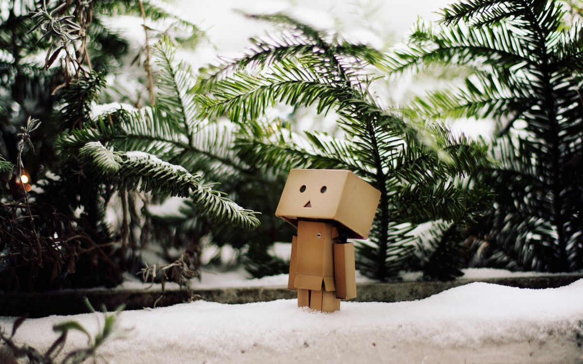 brown wooden bird house on snow covered ground