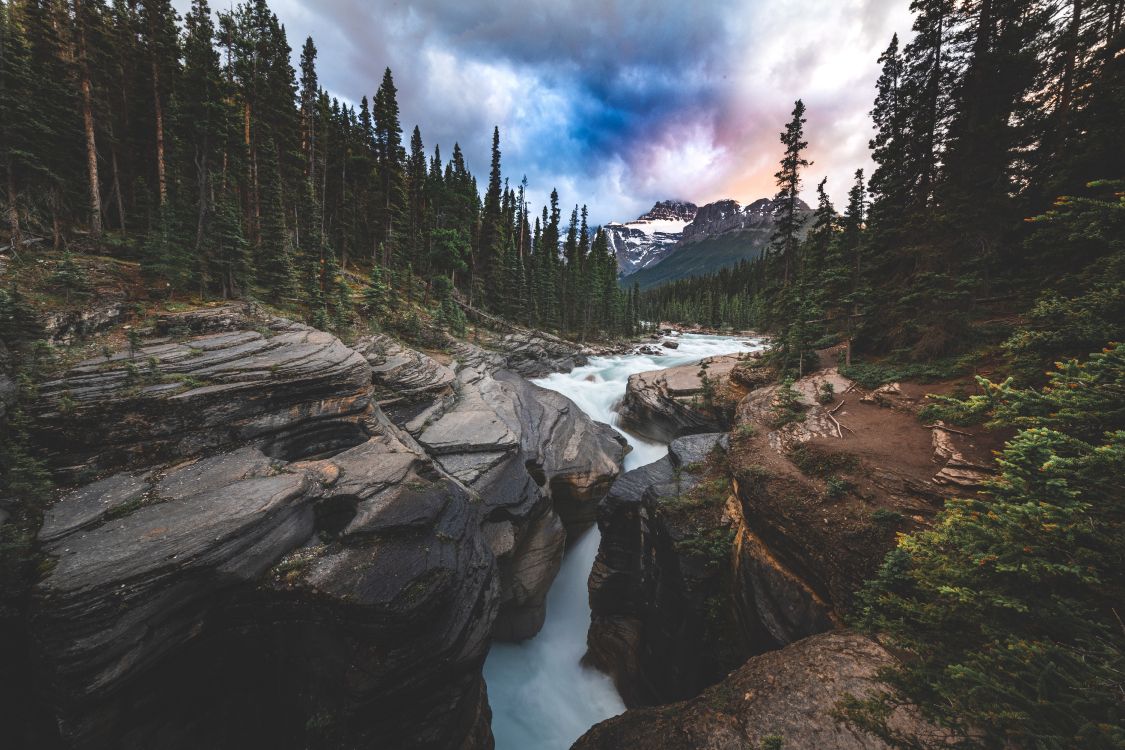 el Parque Nacional de Banff, Parque Nacional Yoho de Canadá, Sendero Del Río Bow, Agua, Montaña. Wallpaper in 8256x5504 Resolution